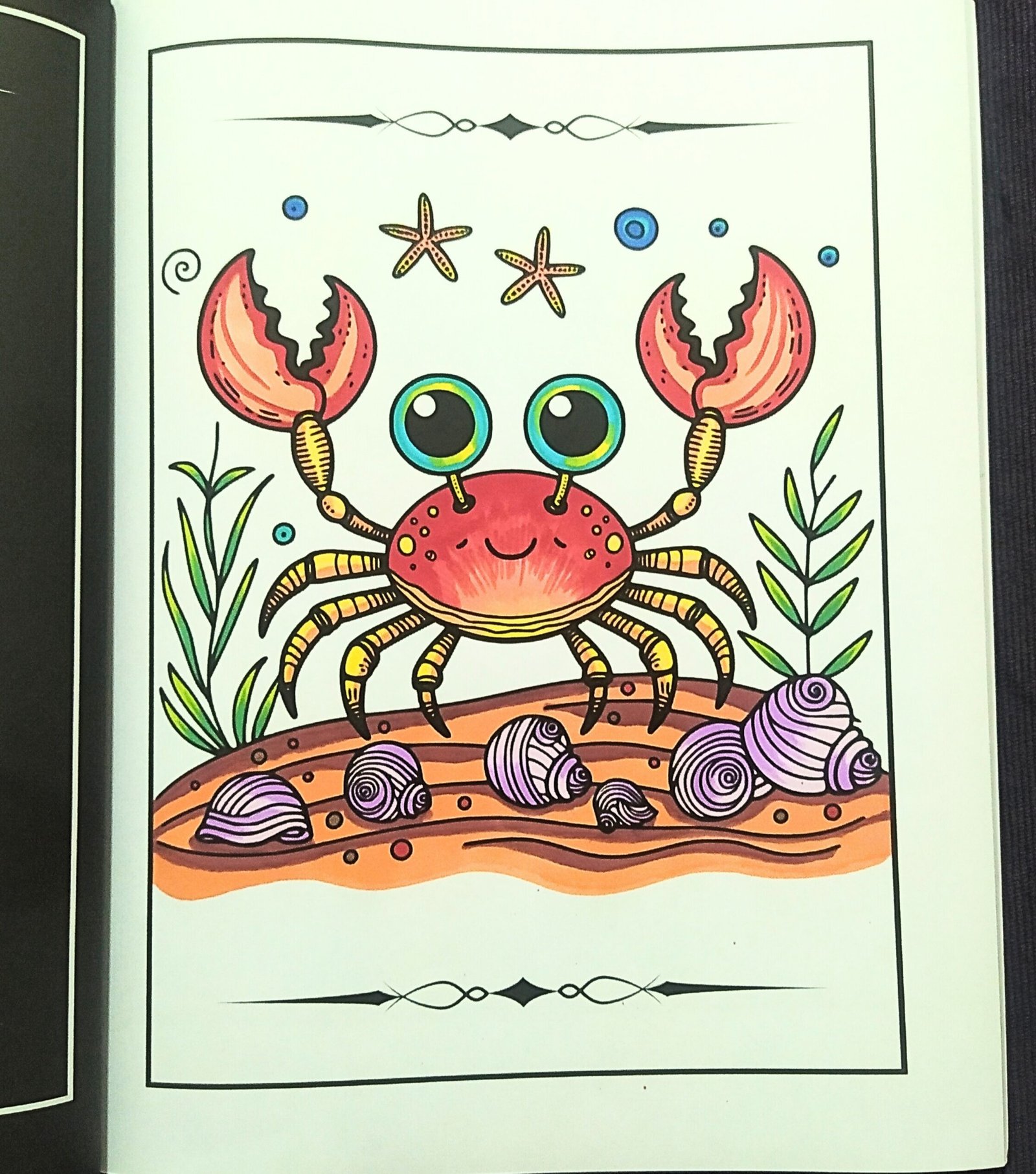 libro para colorear